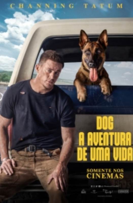DOG - A AVENTURA DE UMA VIDA