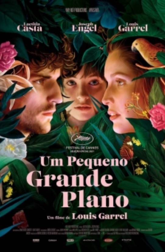UM PEQUENO GRANDE PLANO