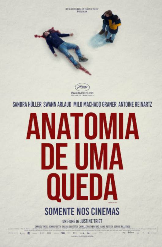 ANATOMIA DE UMA QUEDA