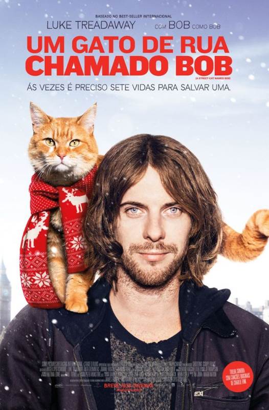 UM GATO DE RUA CHAMADO BOB